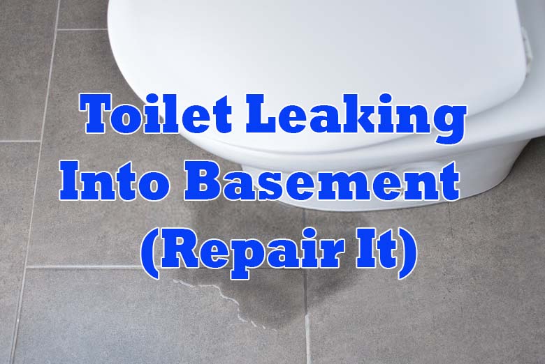 Toilet Leaking Into Basement