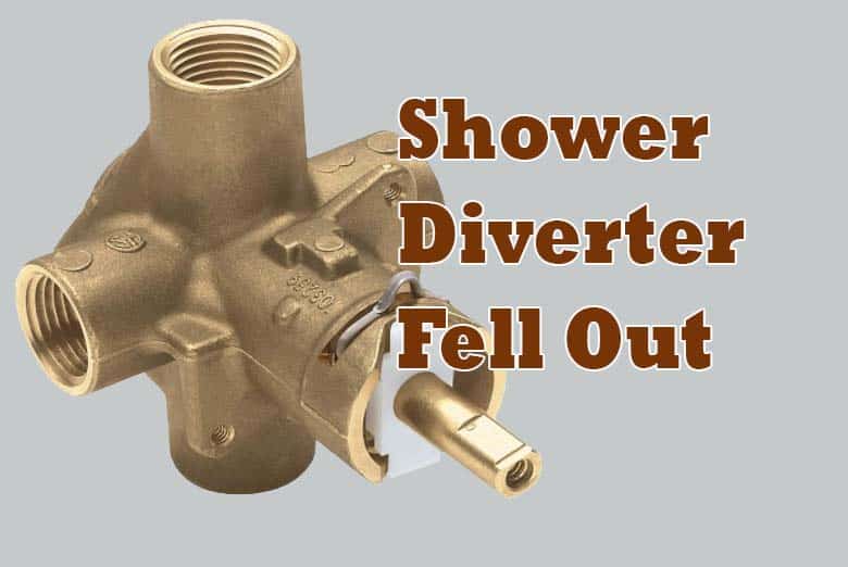 Shower Diverter Fell Out